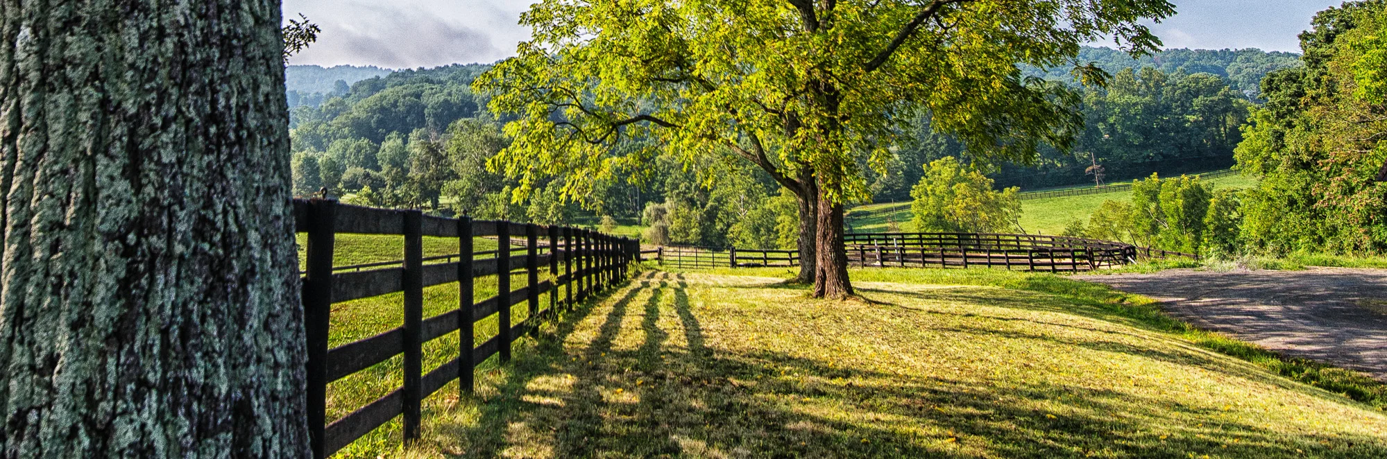 2013-08-29_SloaneColes_Booker_0112-Edit.jpg