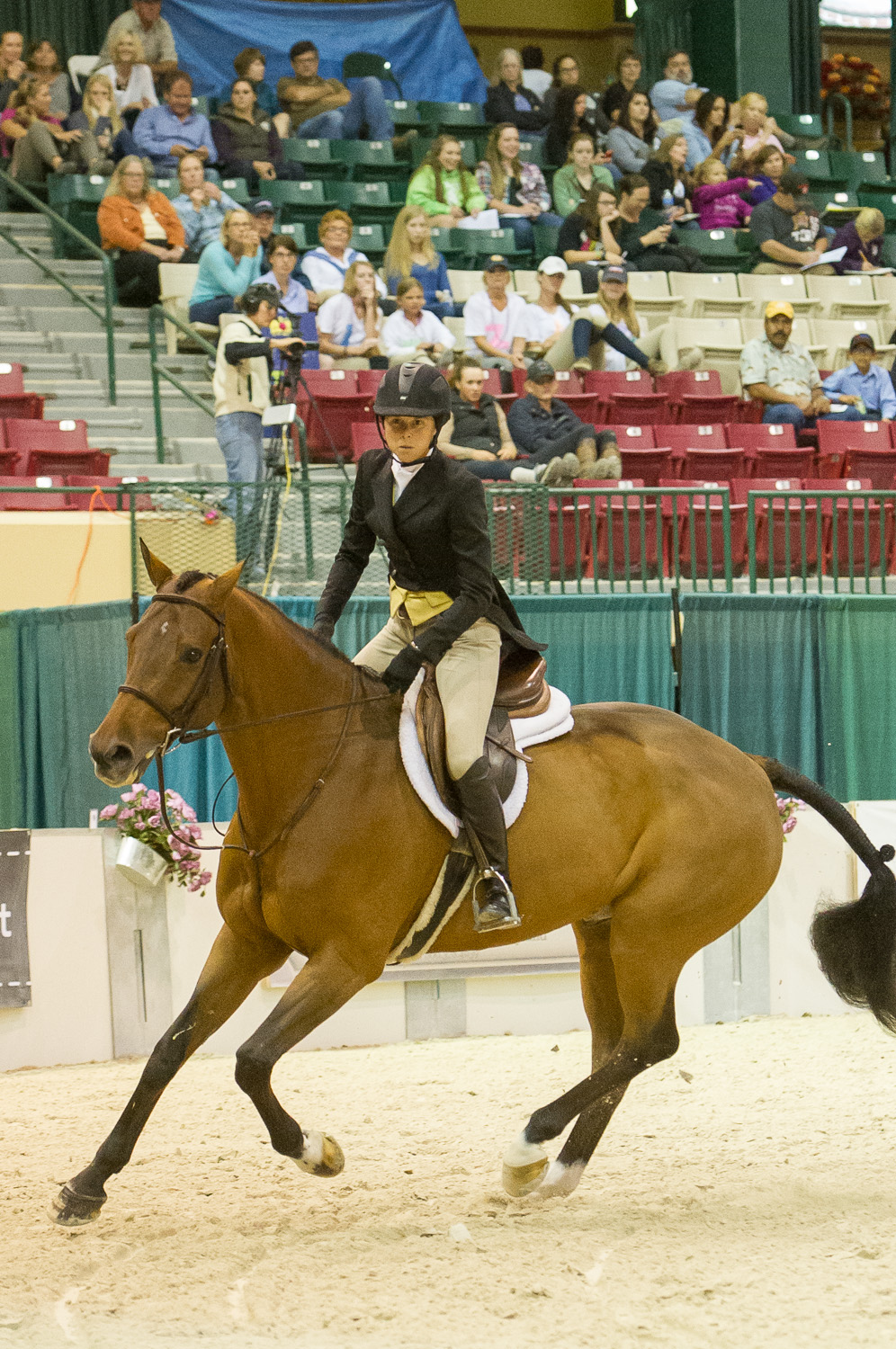 Liza and Corduroy Cantering