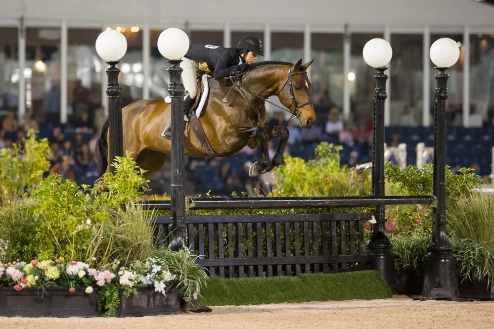  Congratulations to Laura Critz on the purchase of Quatrain! Best of luck in the Junior Hunters in 2014!