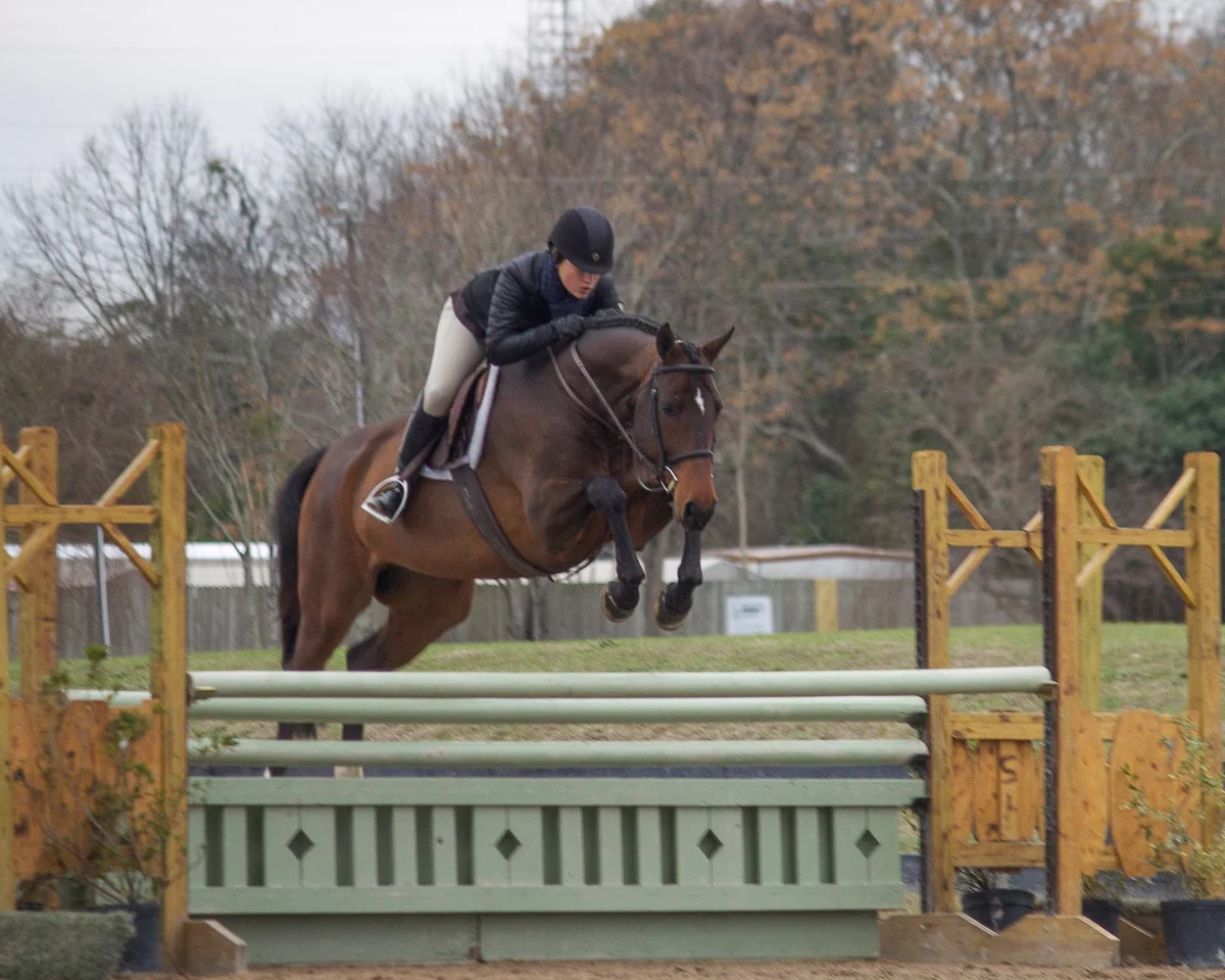  Laura Critz and Quatrain earned the 3'3" Junior Hunter championship in their first show together. 