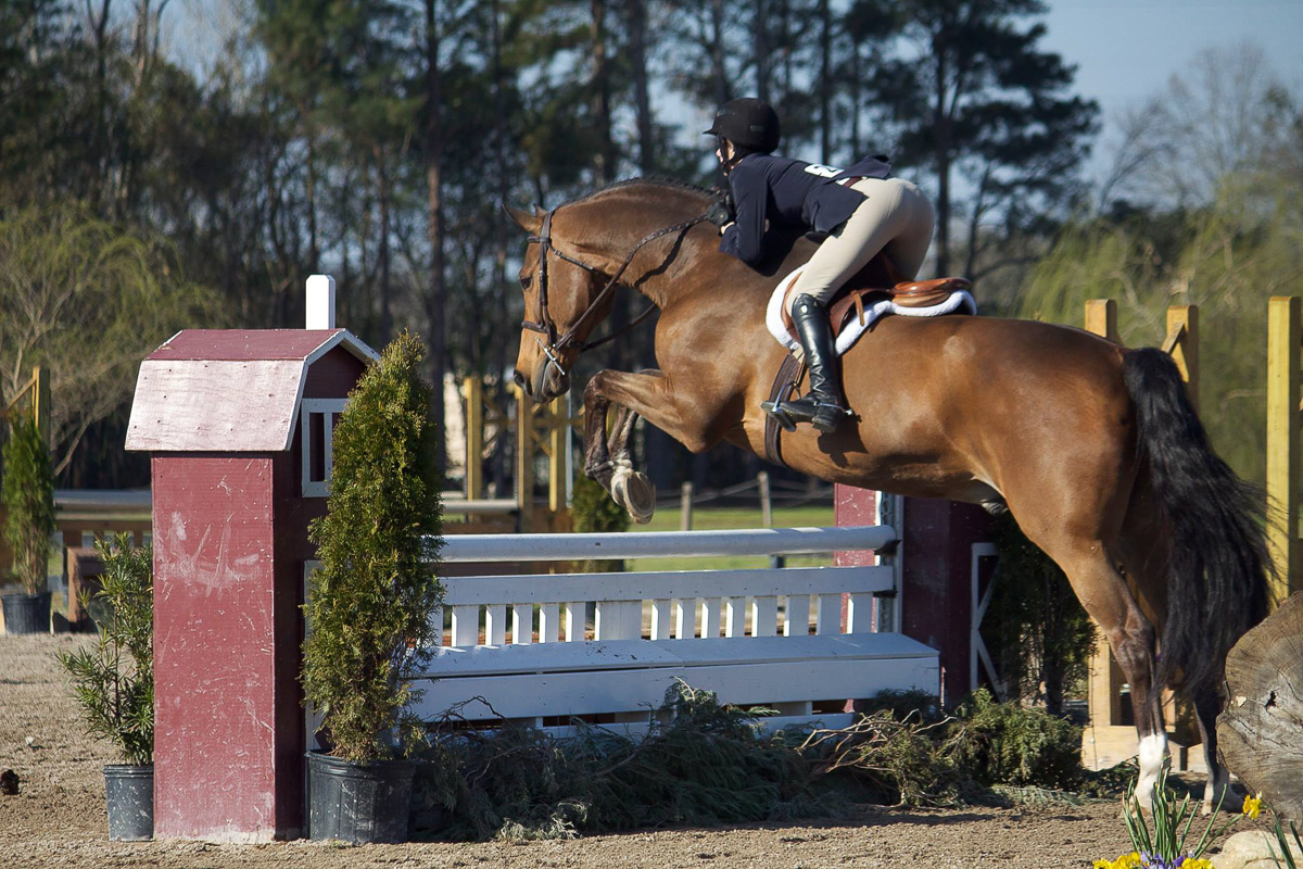 Mary Carton Mitchener and Waccamaw jumped to success in the 3'3" Junior Hunters.