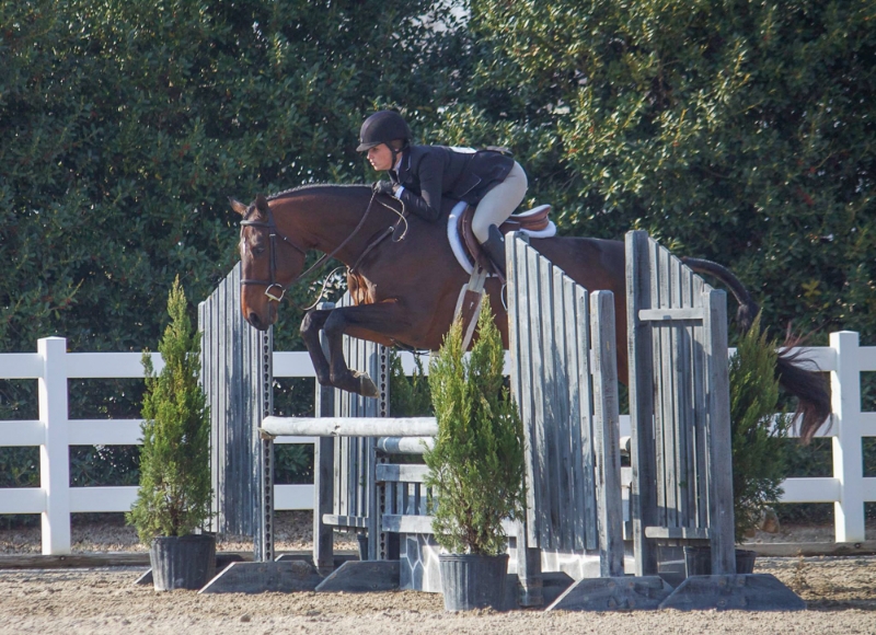 Laura Critz and Quatrain