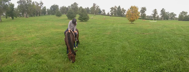 Junior Hunter Champion Quatrain and Laura Critz enjoyed some down time on the Kentucky Horse Park's cross-country course.