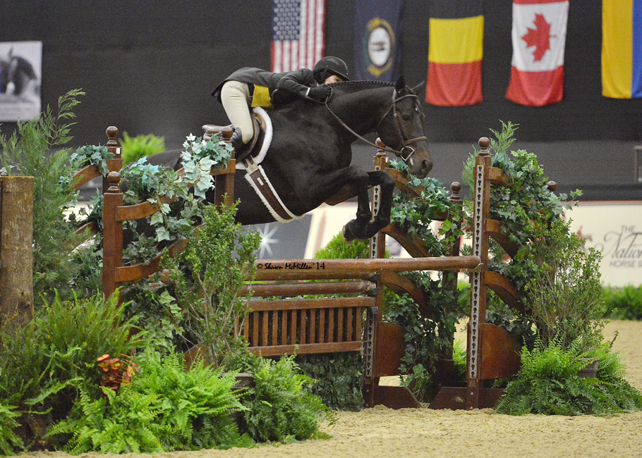 Liza Boyd and Pony Lane Farm's Mythical at the 2014 National Horse Show in Lexington, Kentucky.