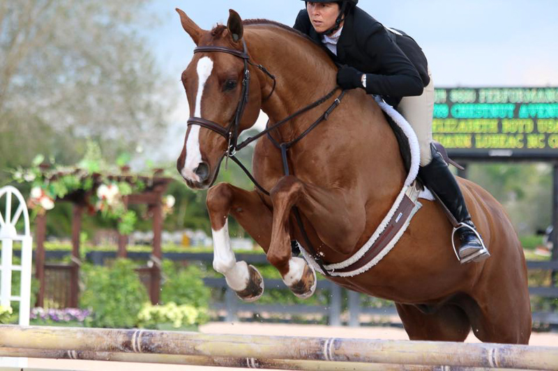 Liza Boyd and Chestnut Avenue - Photo courtesy of The Plaid Horse