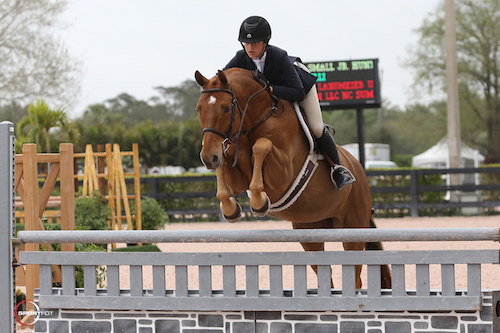 McKayla Langmeier and Khaki Run LLC's Castelli