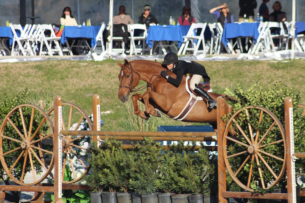 Liza Boyd and Brunello in the $100,000 USHJA International Hunter Derby at HITS Ocala (TK Themaneimagephotography)