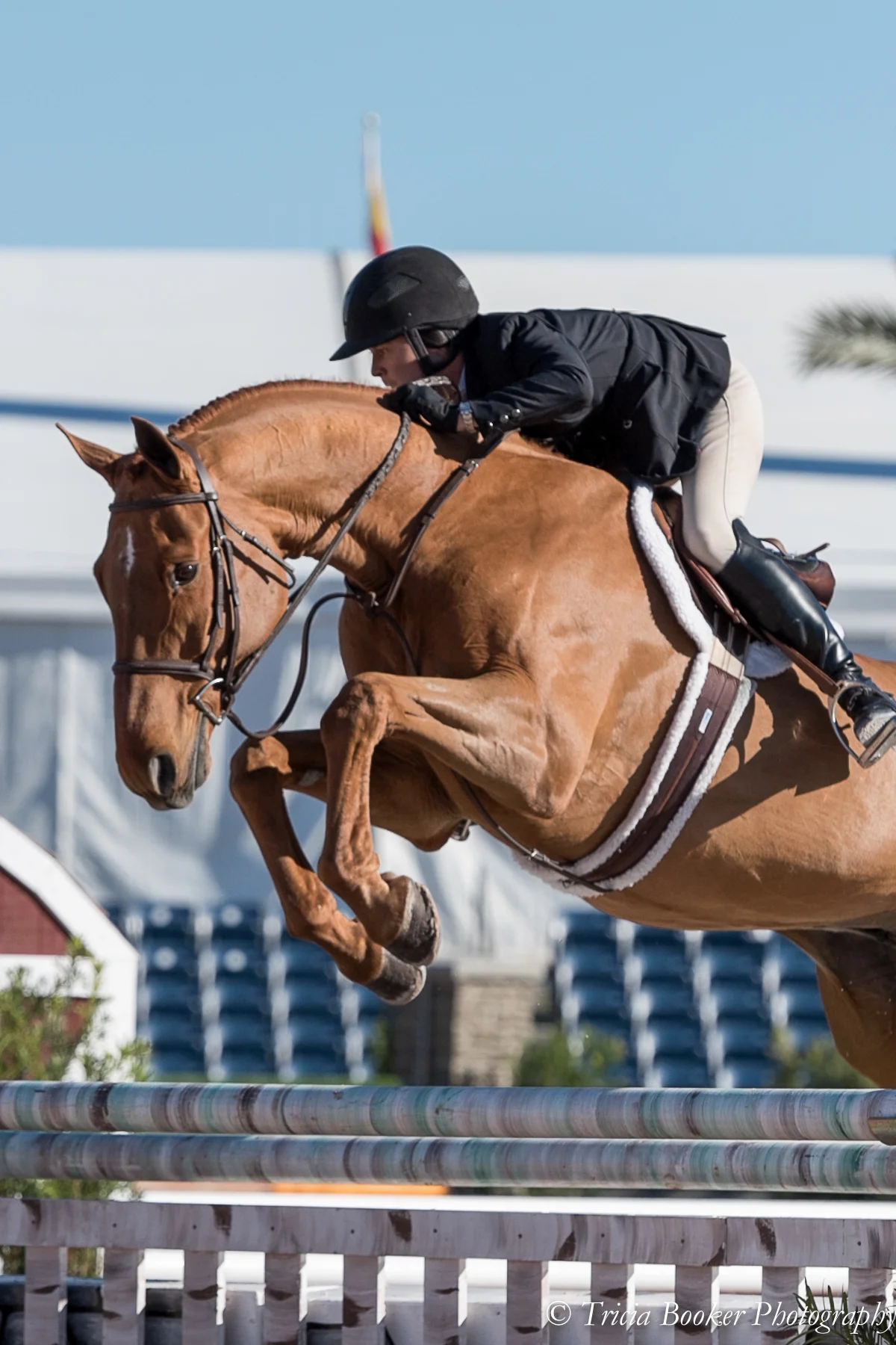 Liza Boyd and Brunello