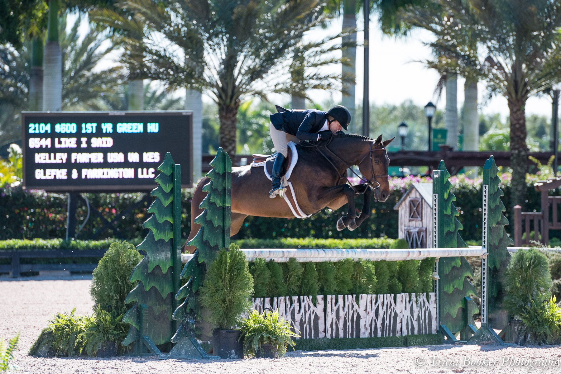 Pony Lane Farm's newest hunter, Like I Said with rider Kelley Farmer