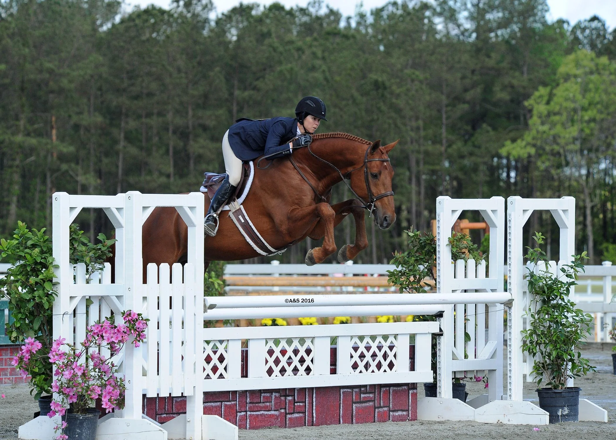 Liza Boyd aboard Pony Lane Farm's Coronado (A&S Photography)