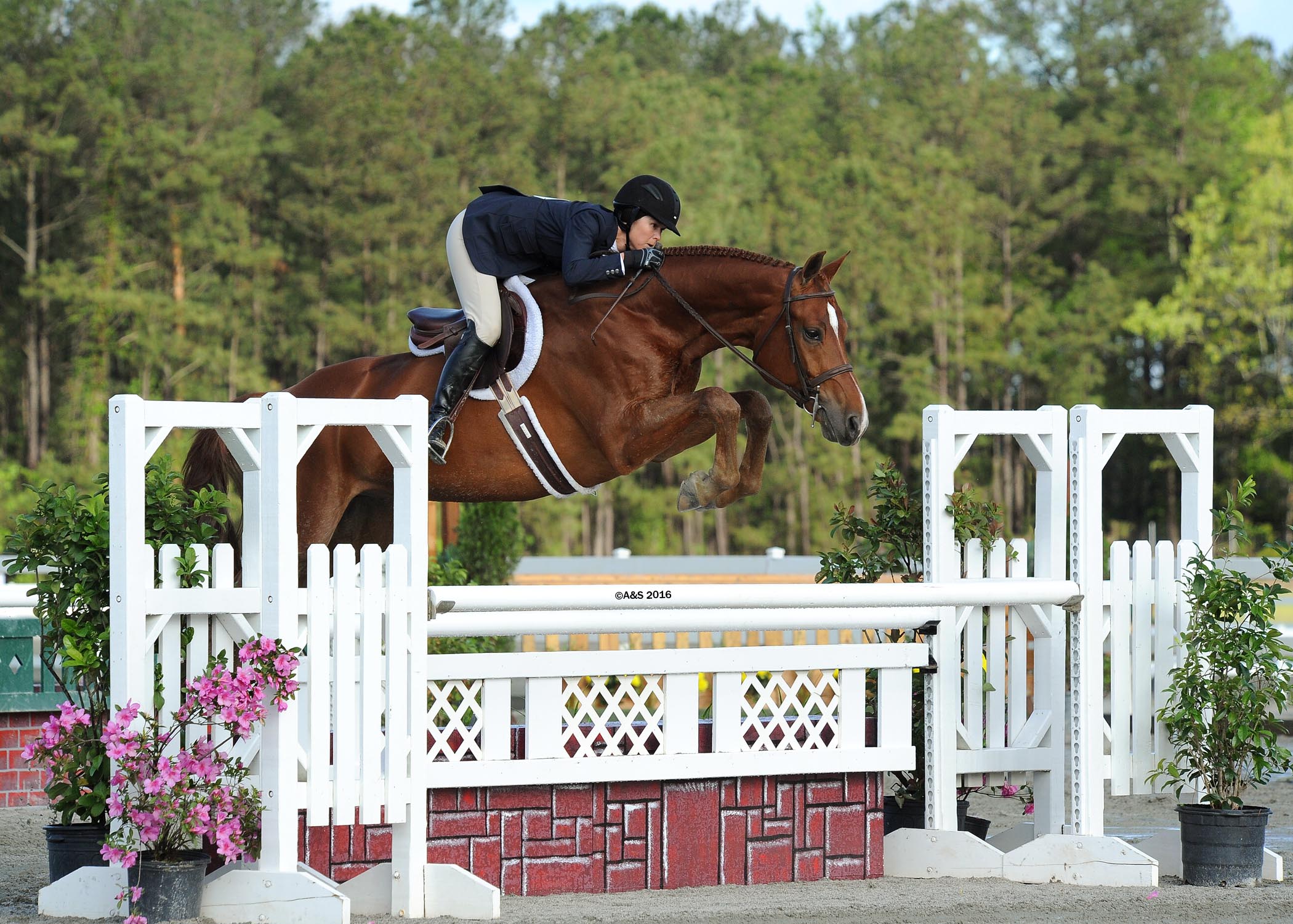 Liza Boyd and Finally Farm's Shamrock (A&S Photography)