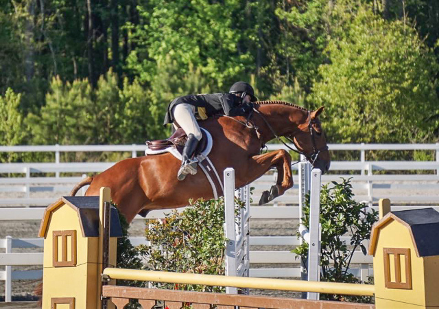 Liza Boyd and Coronado