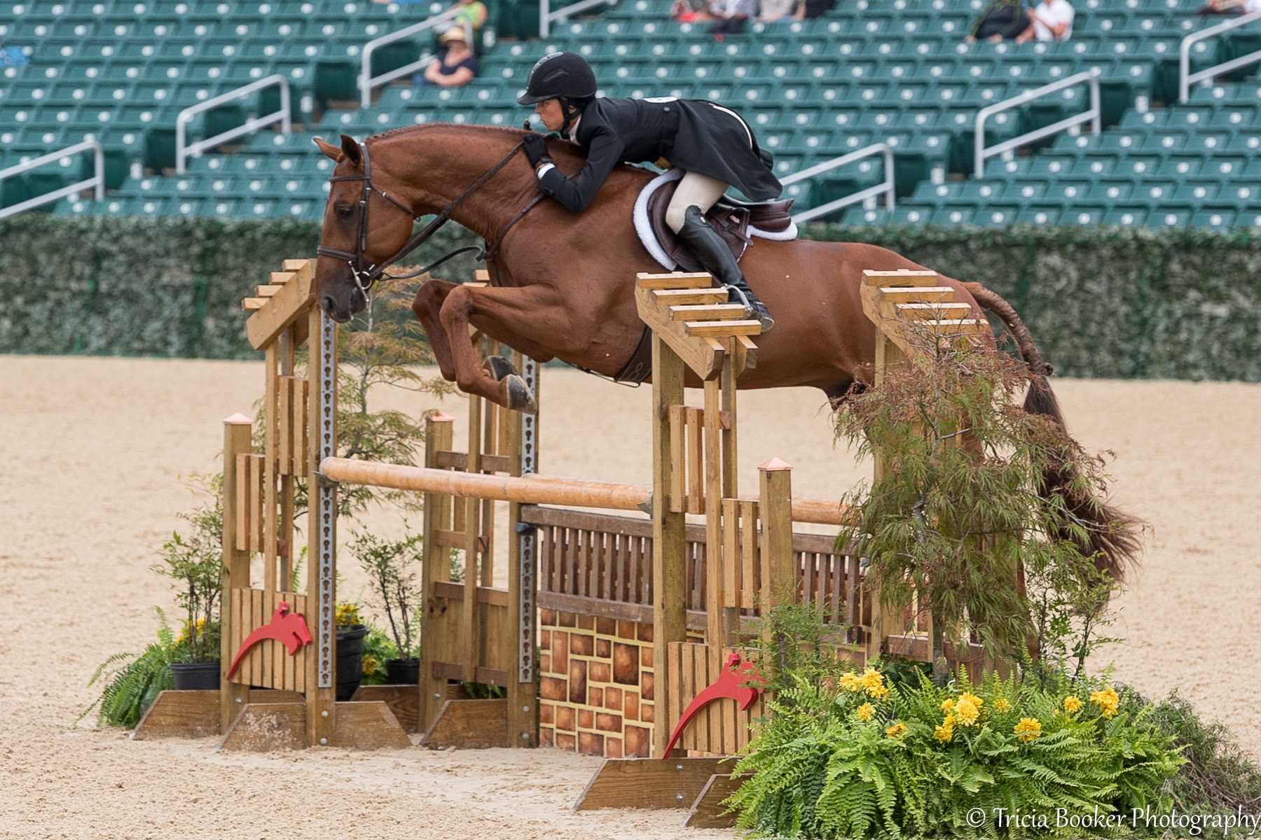 Liza Boyd and Pony Lane Farm's Coronado
