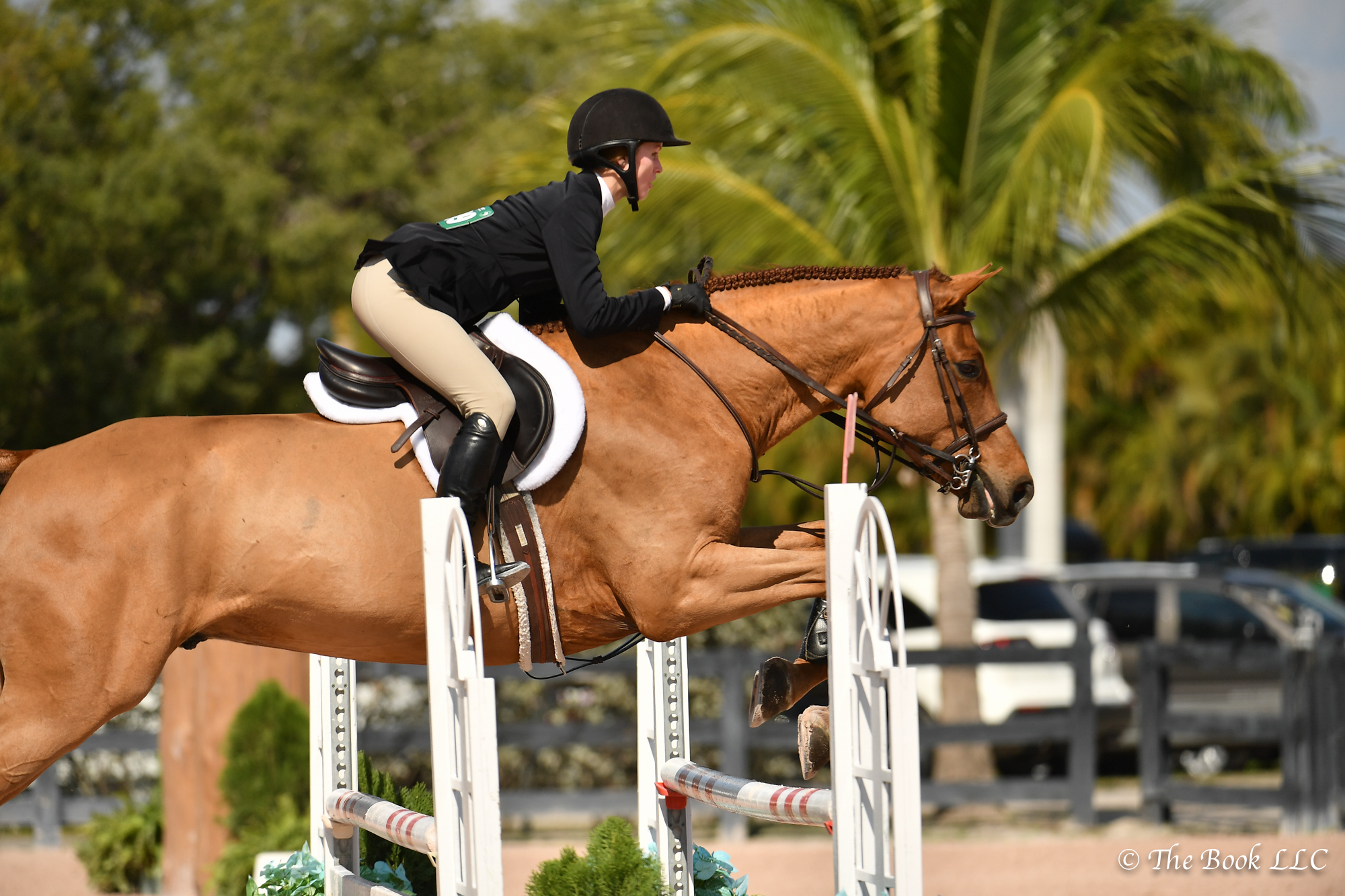 Abigail Poss and Upset De Talma