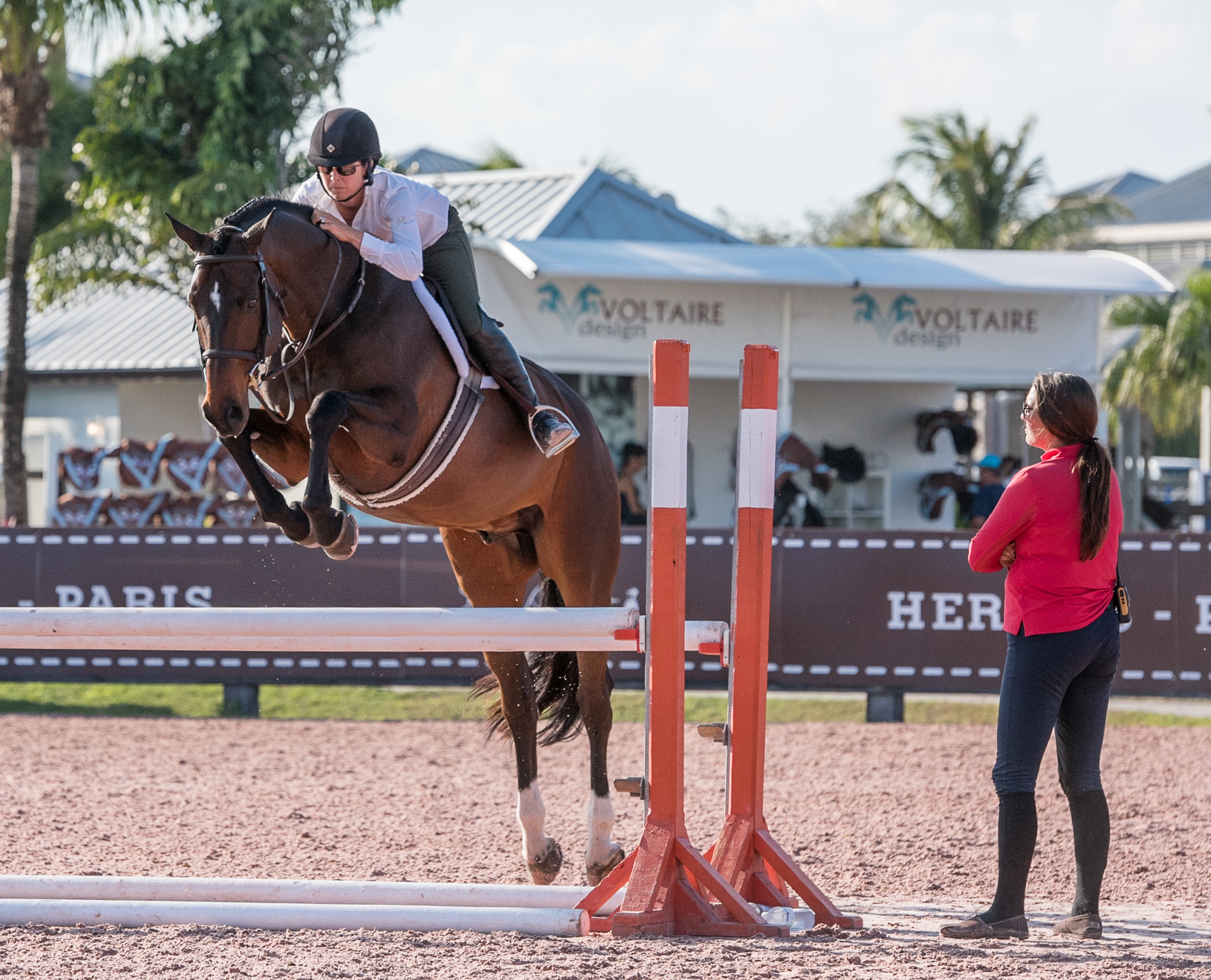 Finally Farm Assistant Trainer Tamara Berkowitz helps school Quatrain with rider Liza Boyd.