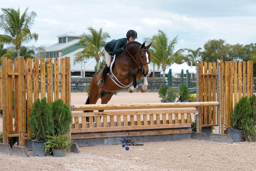 Liza Boyd and Joann Loheac's Callahan