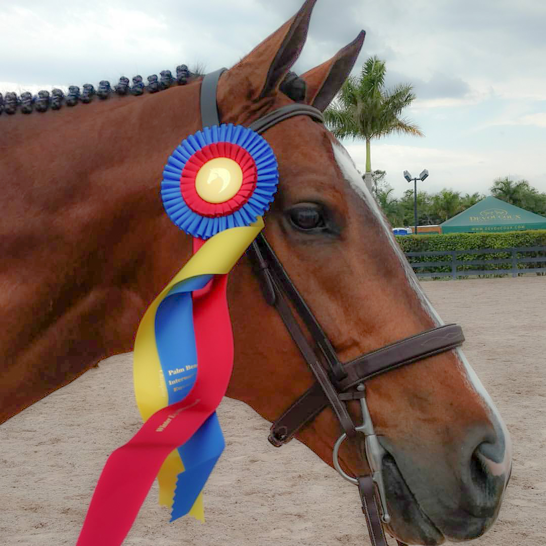 Young Hunter Champion Sawyer