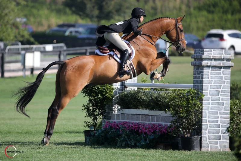 Liza Boyd and Stella Styslinger's O'Ryan