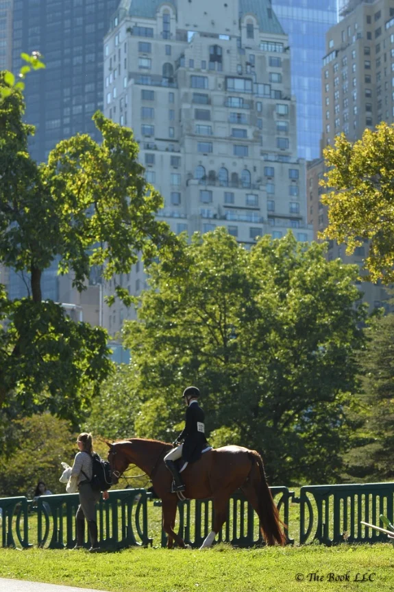 Walking through Central Park to the horse show
