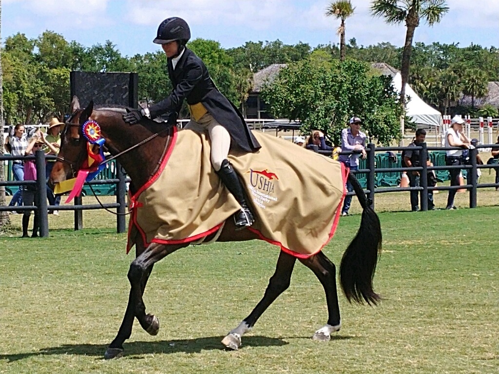 Liza Boyd and S&L Just A Cobbler won the $50,000 USHJA International Hunter Derby during WEF 12.
