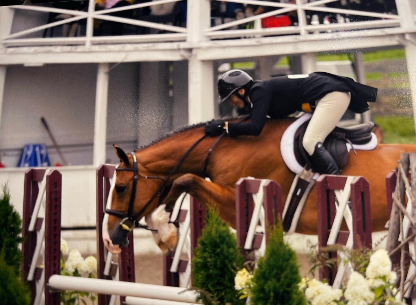 $$CA$H MONEY$$ jumps his heart out for owner Rebekah Warren in the hunter derby BRCHS 2