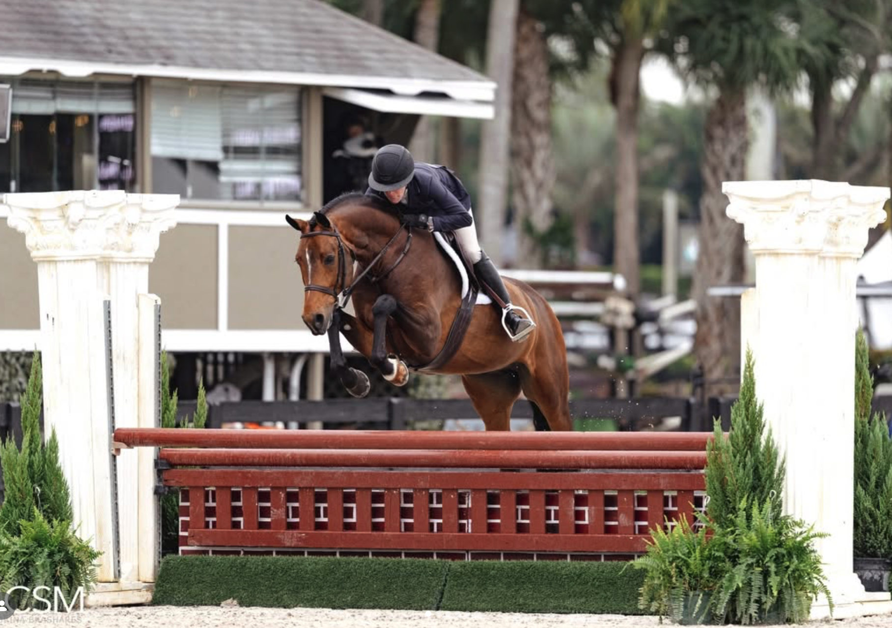 Welcome Wins During WEF 3 and 4