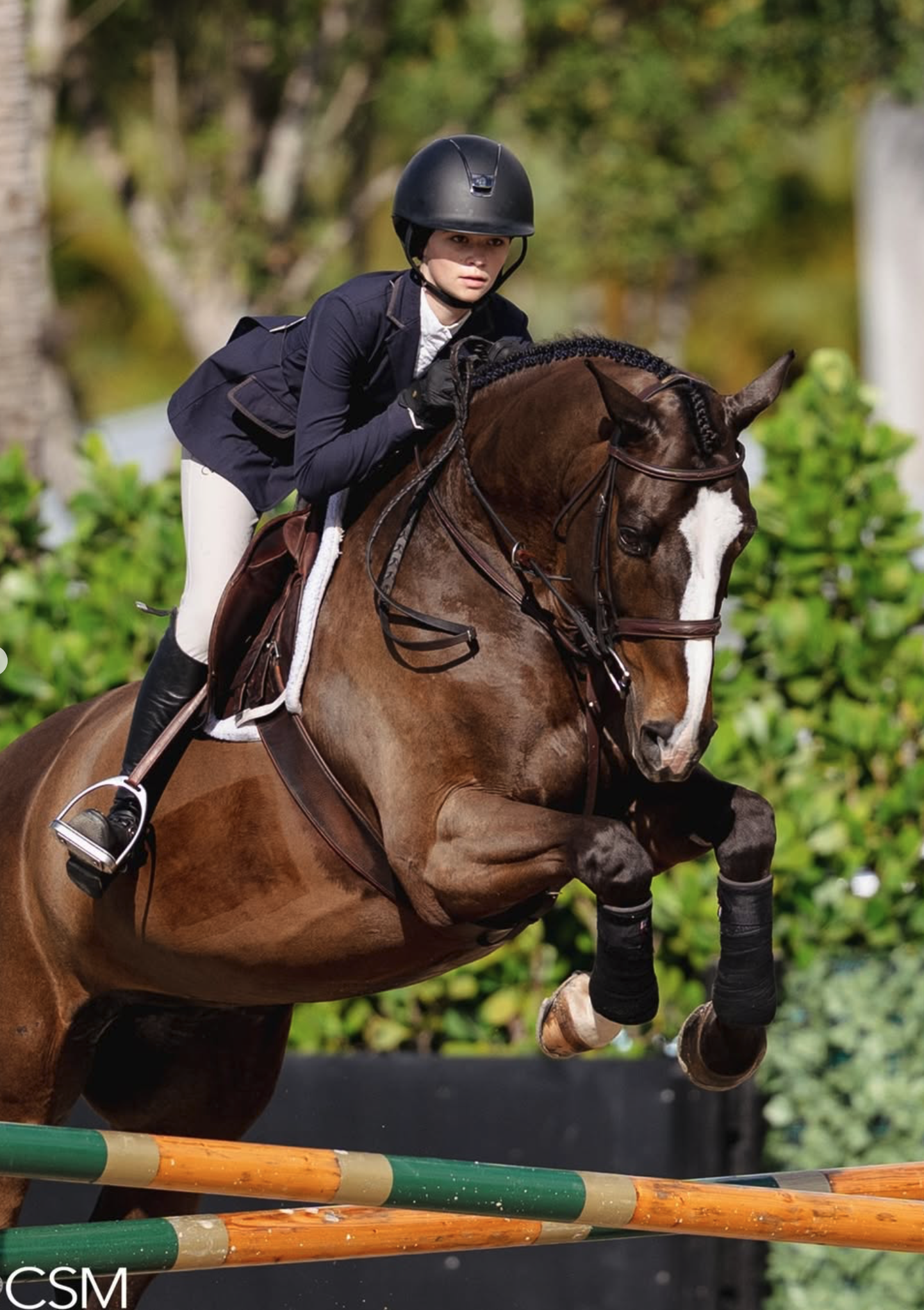 Screenshot 2026-02-05 at 3.12.48 PM.png