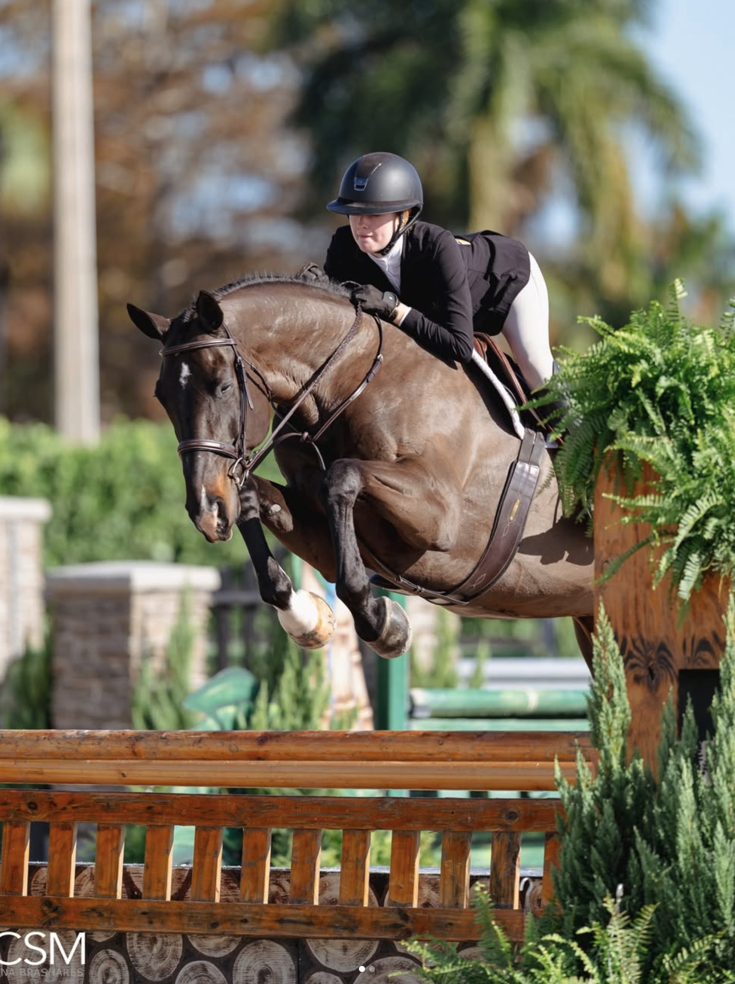 Screenshot 2026-02-05 at 3.13.35 PM.png