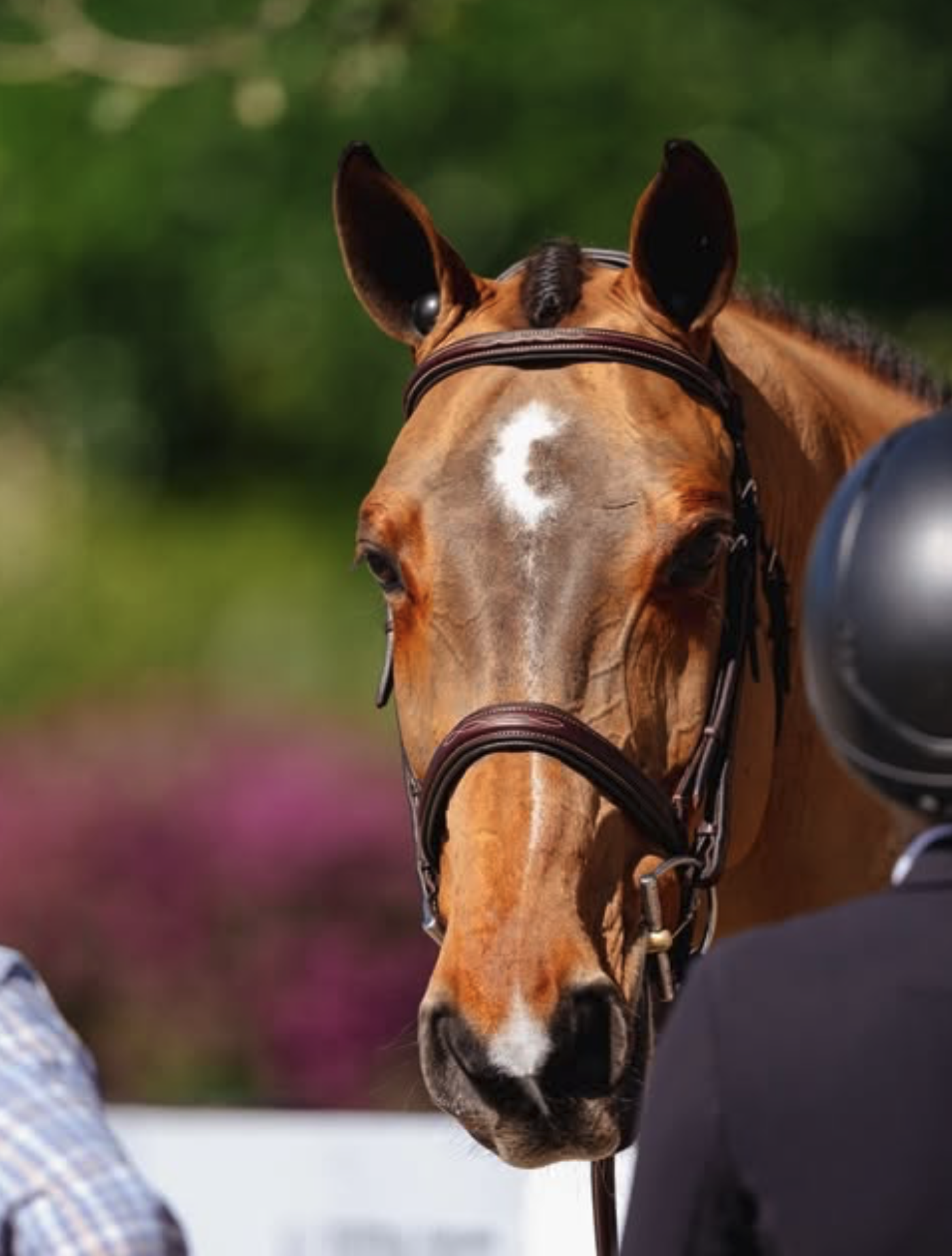 Screenshot 2026-02-05 at 3.18.27 PM.png