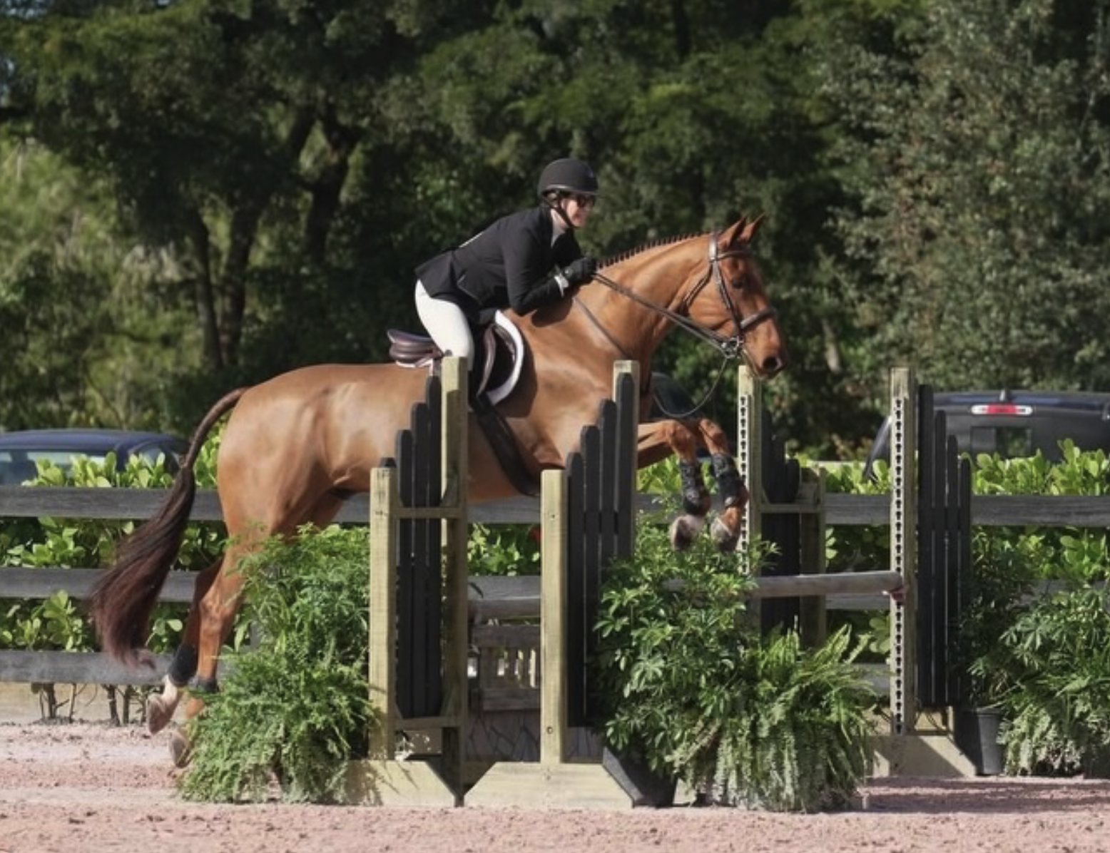 Back in Action at WEF