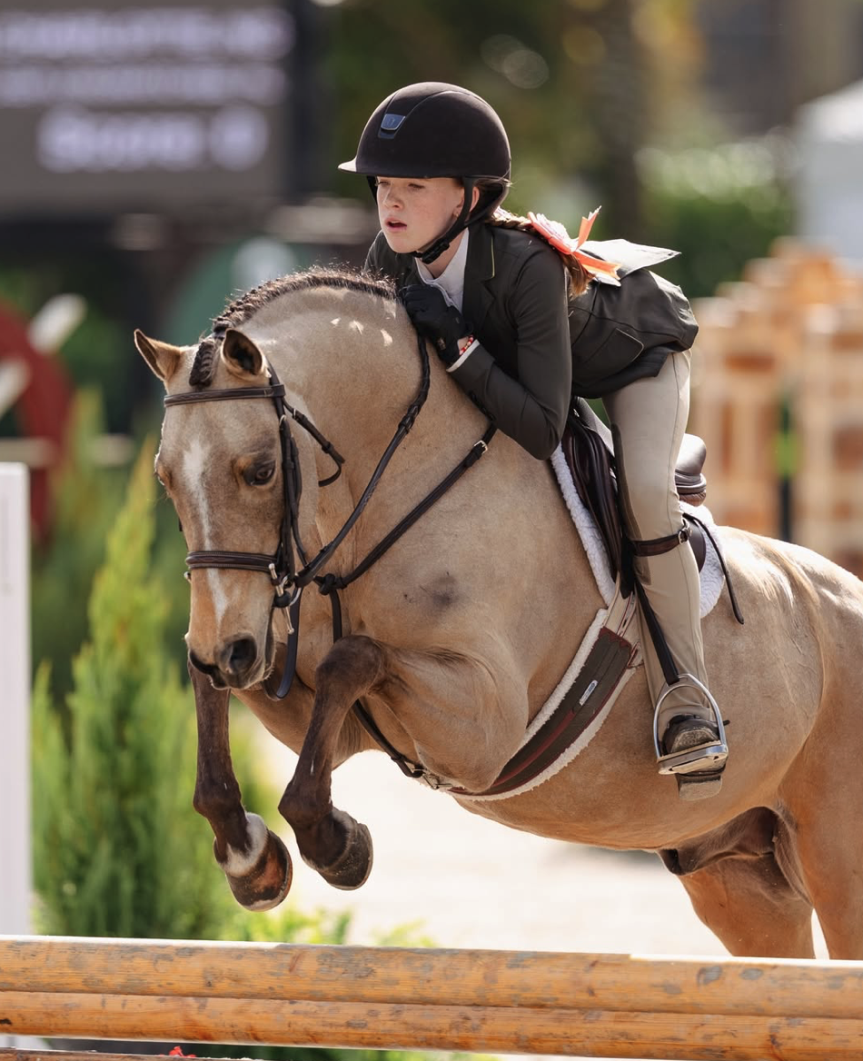 Screenshot 2026-03-18 at 10.44.28 AM.png