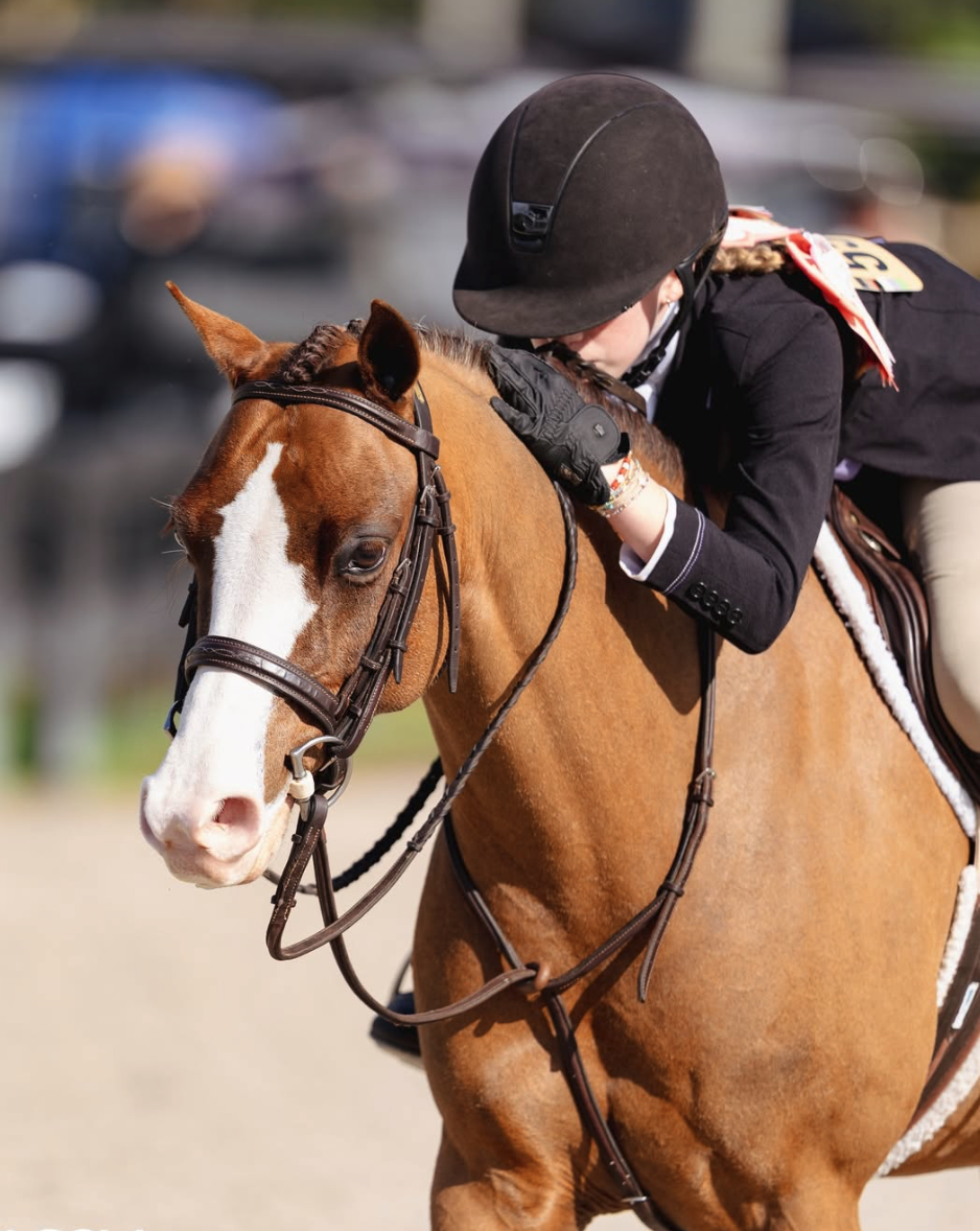 Screenshot 2026-03-18 at 10.44.18 AM.png