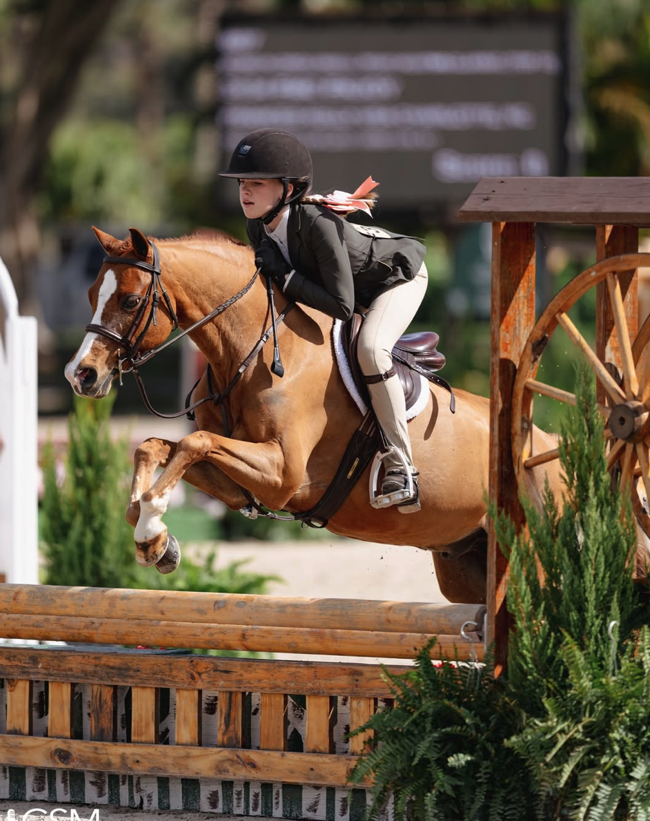 Screenshot 2026-03-18 at 10.45.12 AM.png