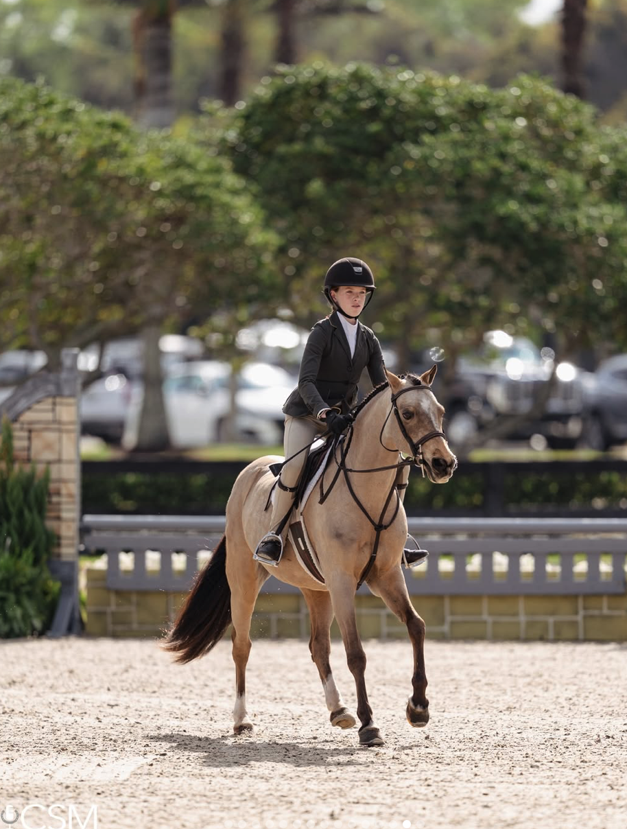 Screenshot 2026-03-18 at 10.46.12 AM.png