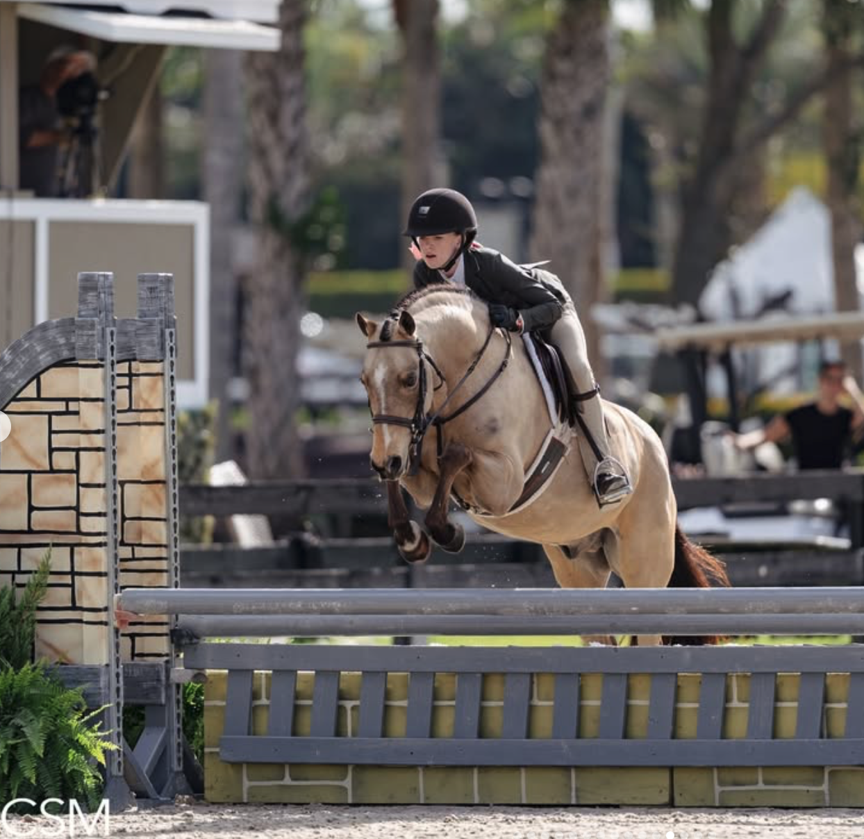 Screenshot 2026-03-18 at 10.45.51 AM.png