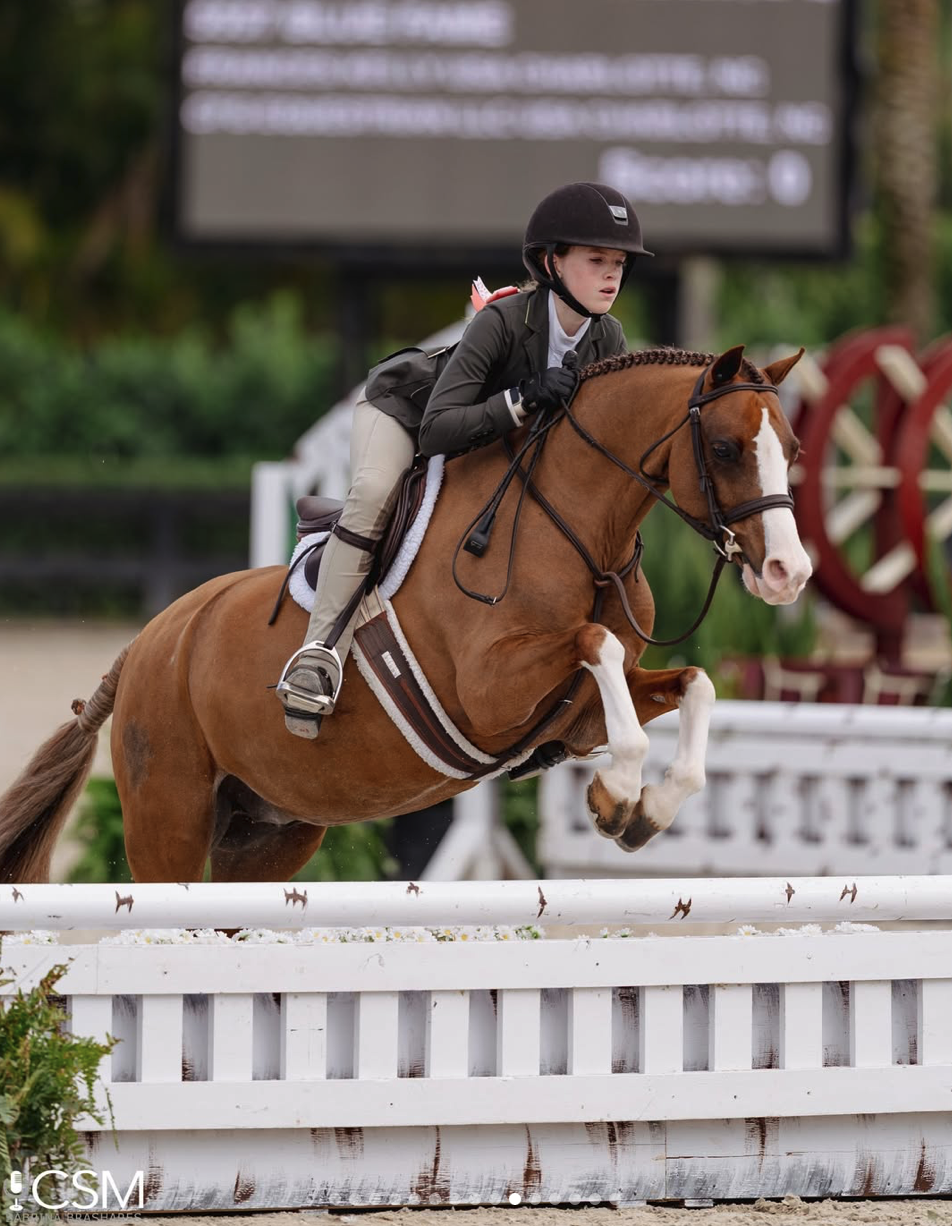 Screenshot 2026-03-18 at 10.45.23 AM.png