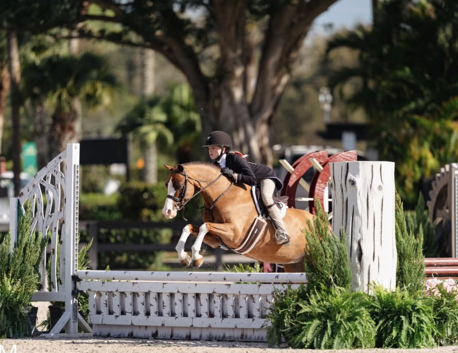 Screenshot 2026-03-18 at 10.43.34 AM.png