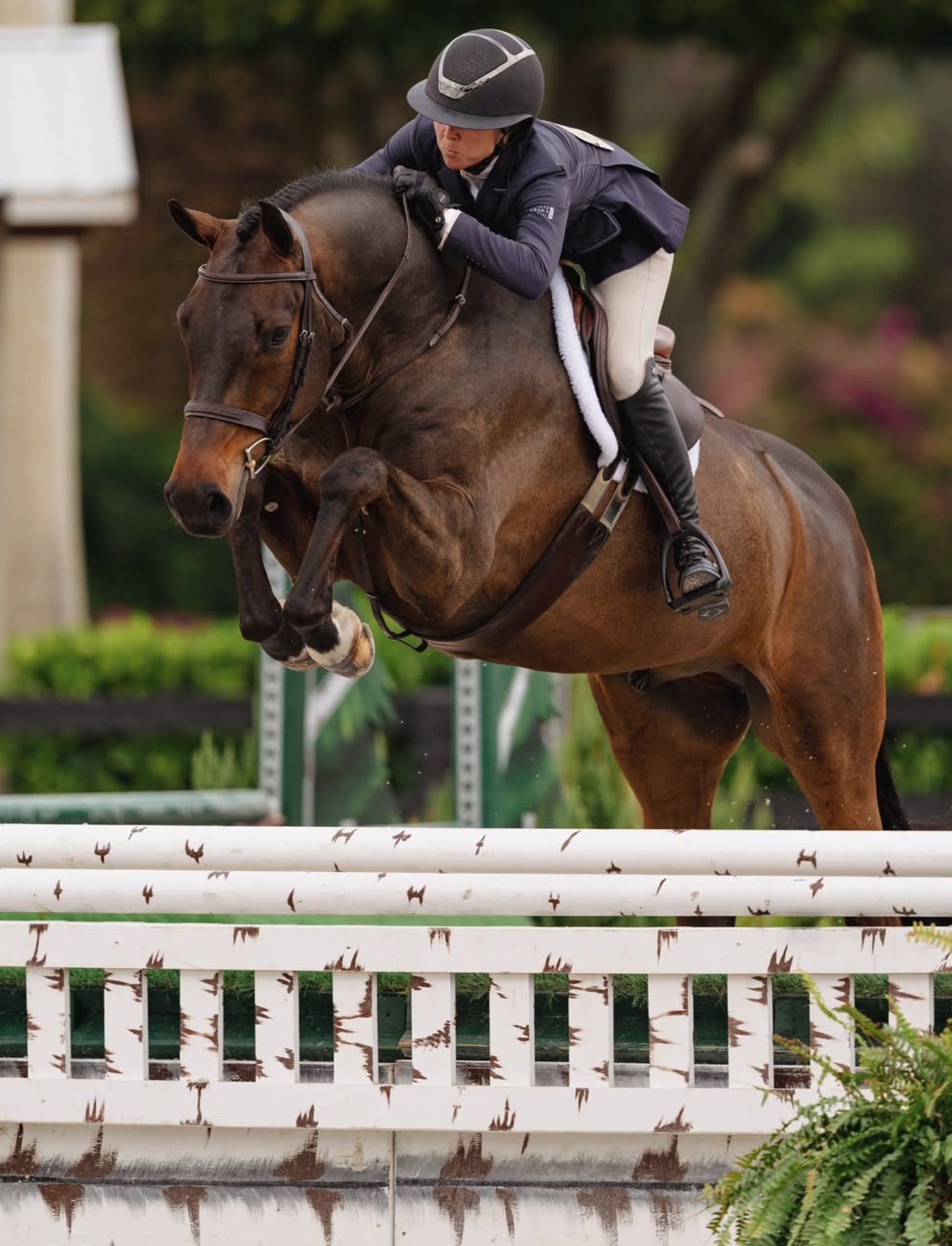 Screenshot 2026-03-18 at 10.51.19 AM.png