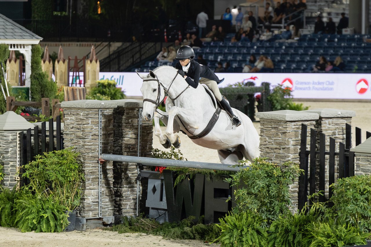 WCHR WEF 6 is Amazing 