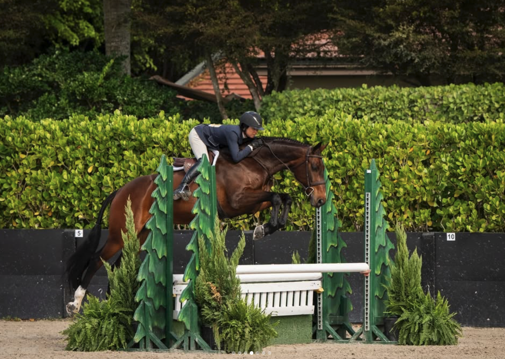 Screenshot 2026-03-18 at 10.32.59 AM.png