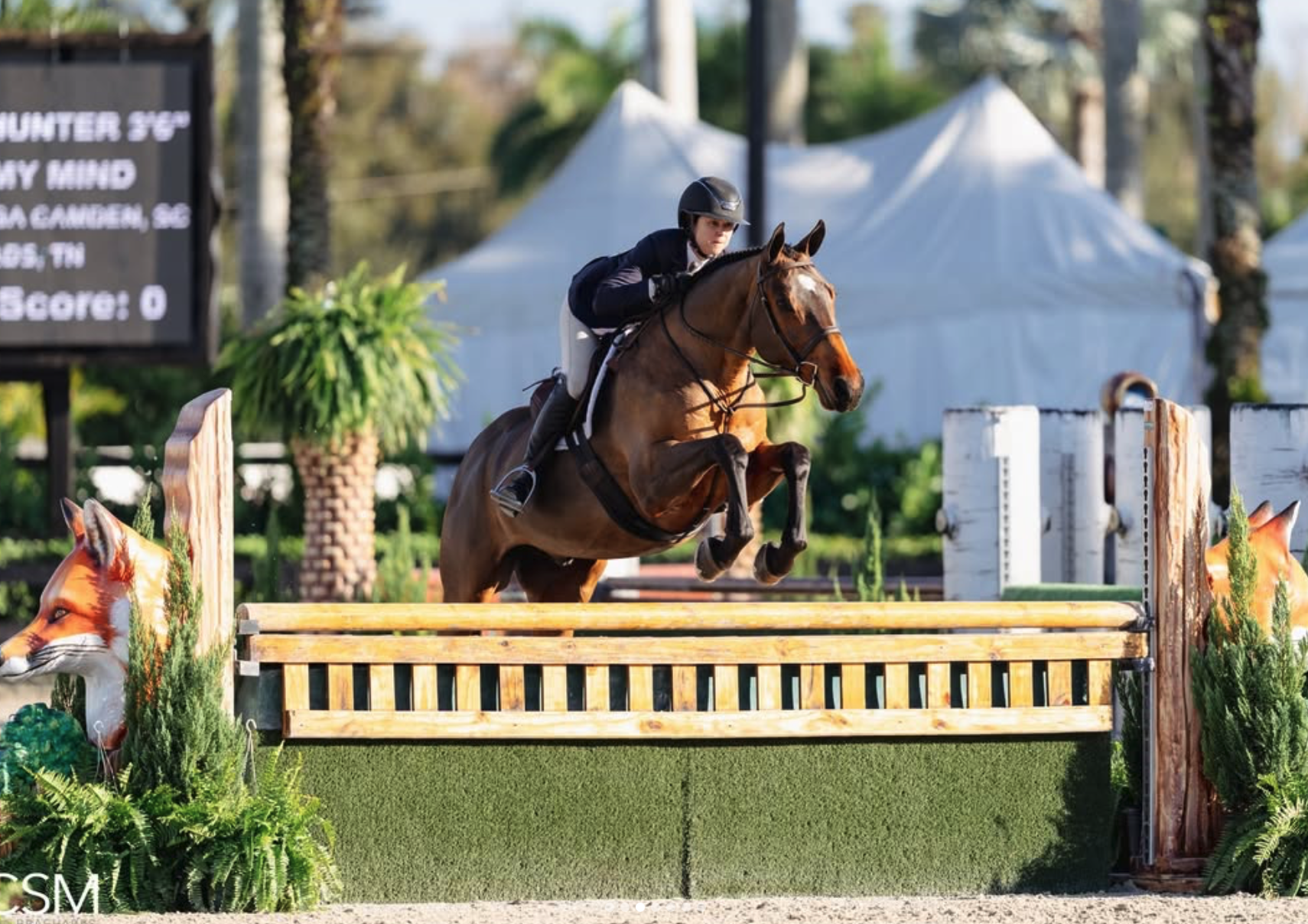 Screenshot 2026-03-18 at 10.32.47 AM.png