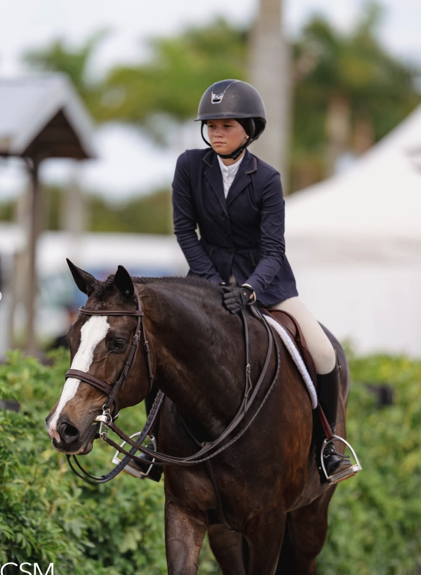 Screenshot 2026-03-18 at 10.31.32 AM.png