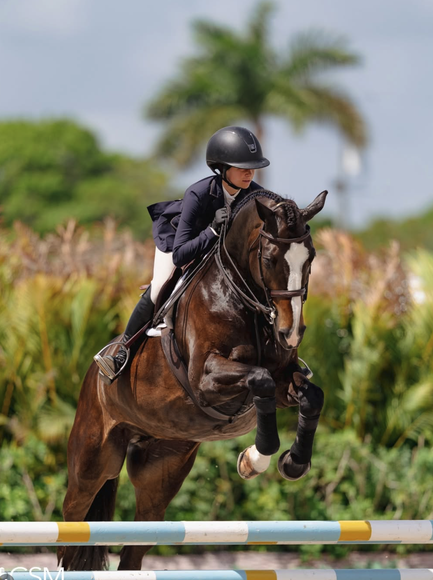 Screenshot 2026-03-18 at 10.30.52 AM.png