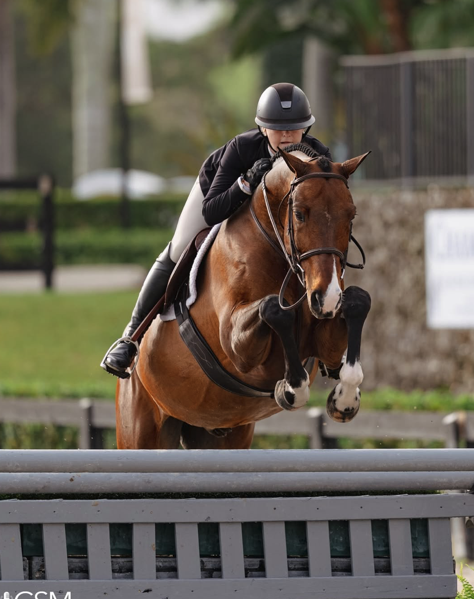 Screenshot 2026-03-18 at 10.36.59 AM.png