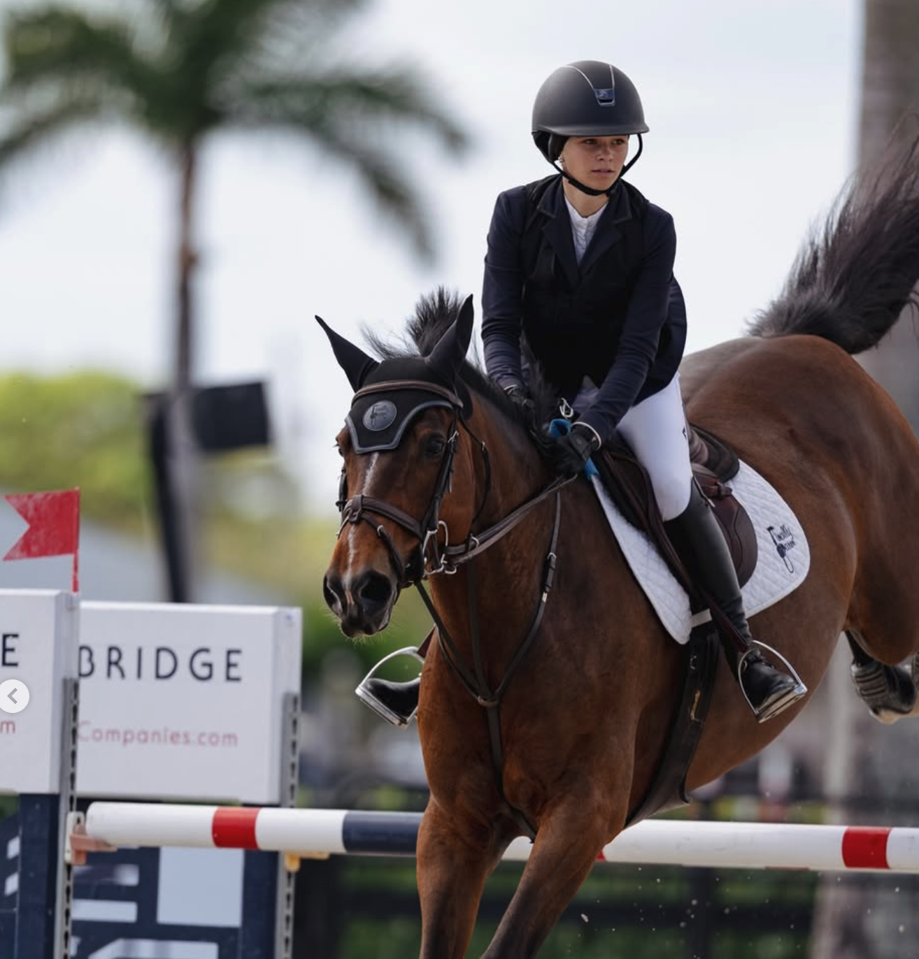 Screenshot 2026-03-18 at 10.34.50 AM.png