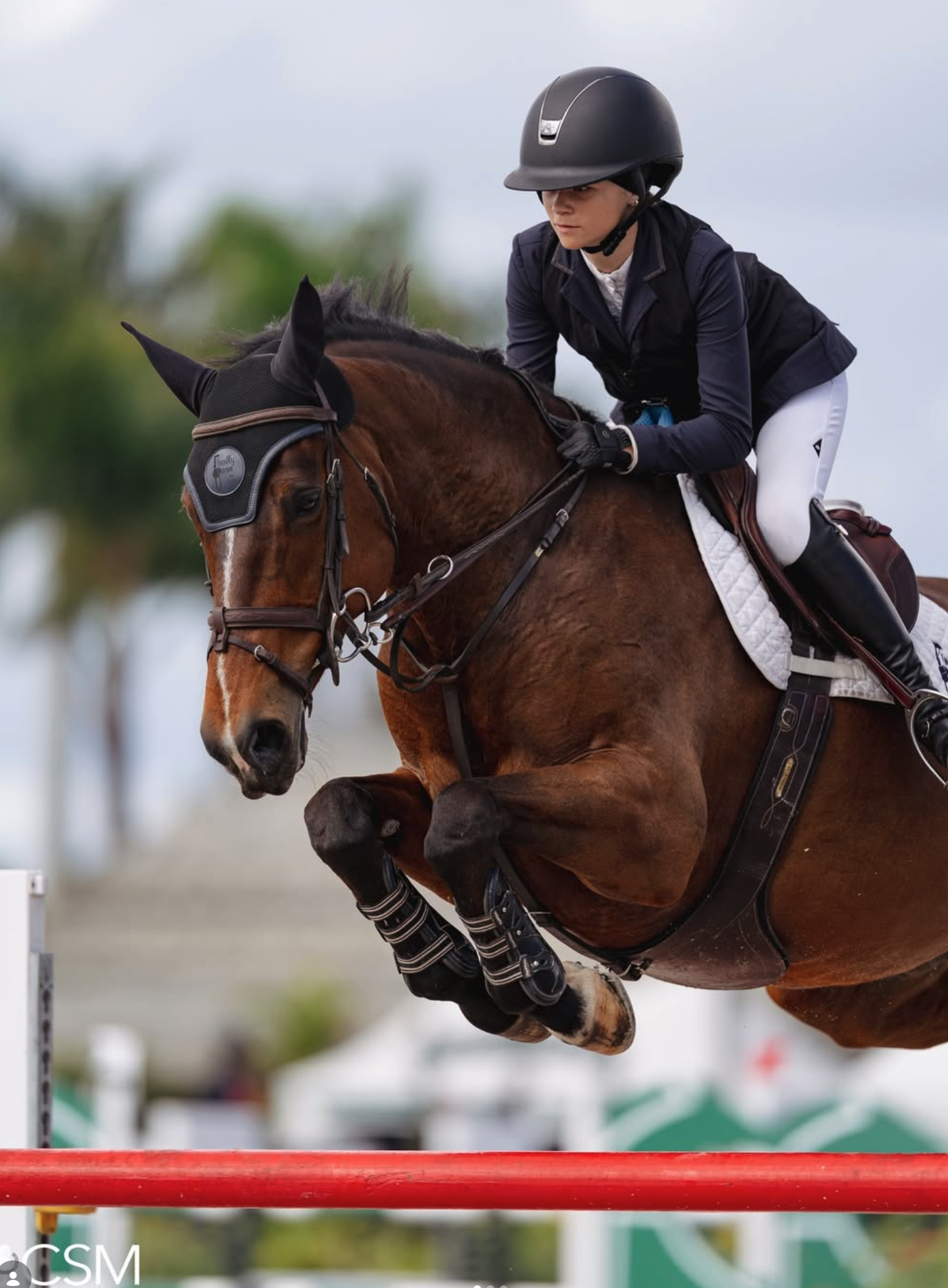 Screenshot 2026-03-18 at 10.34.24 AM.png