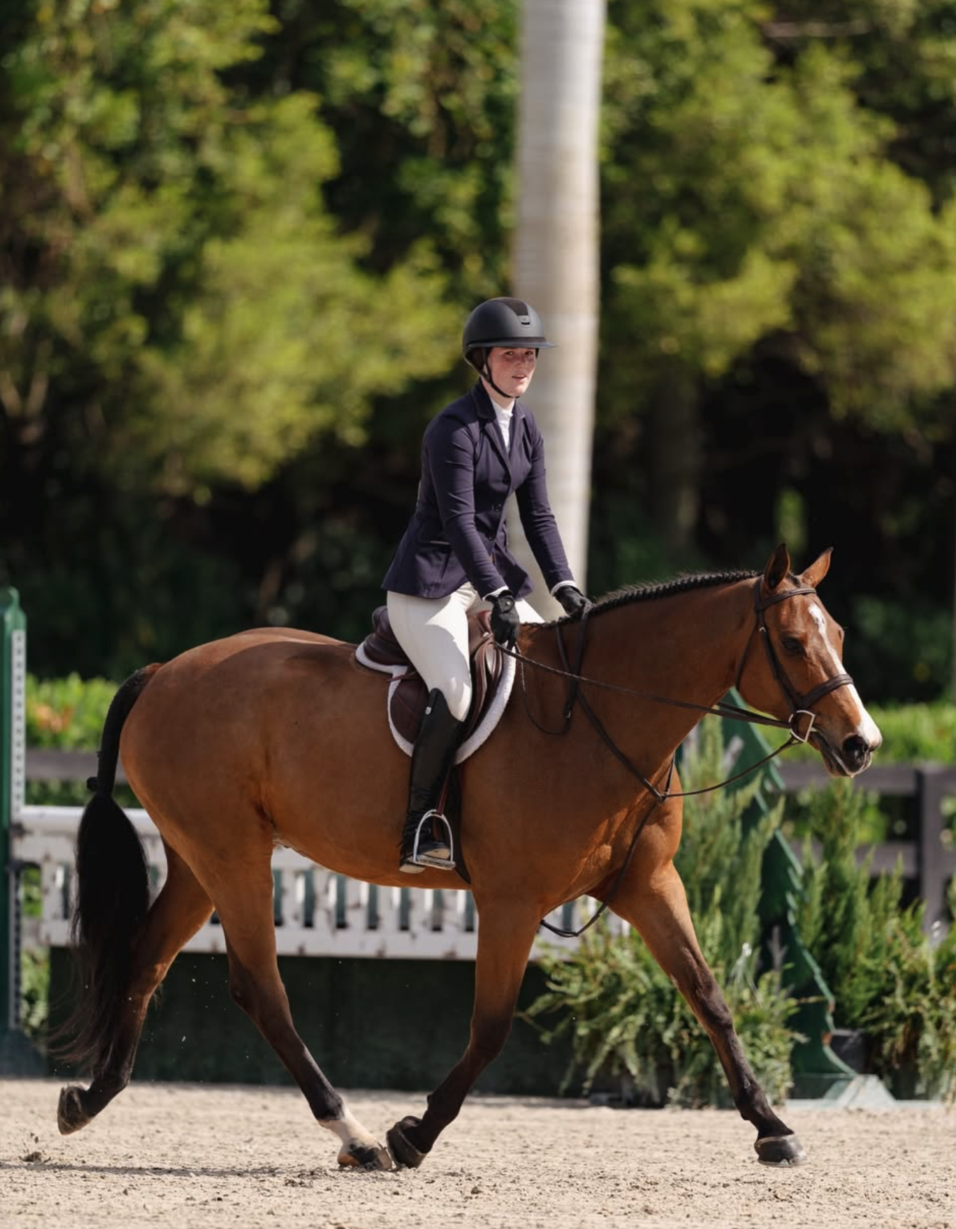 Screenshot 2026-03-18 at 10.39.50 AM.png