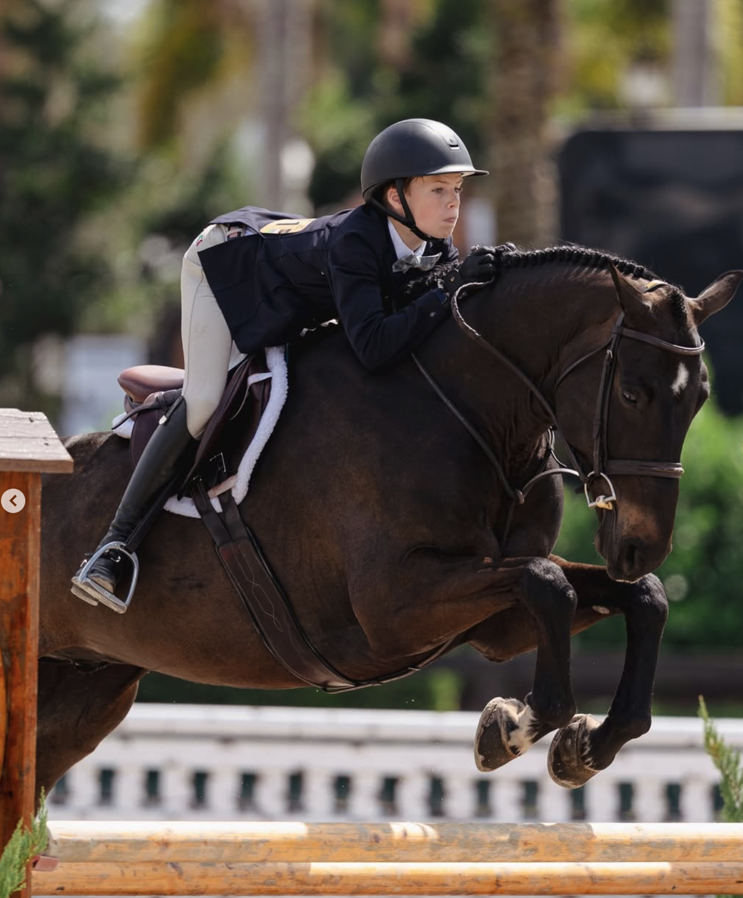 Screenshot 2026-03-18 at 10.38.45 AM.png