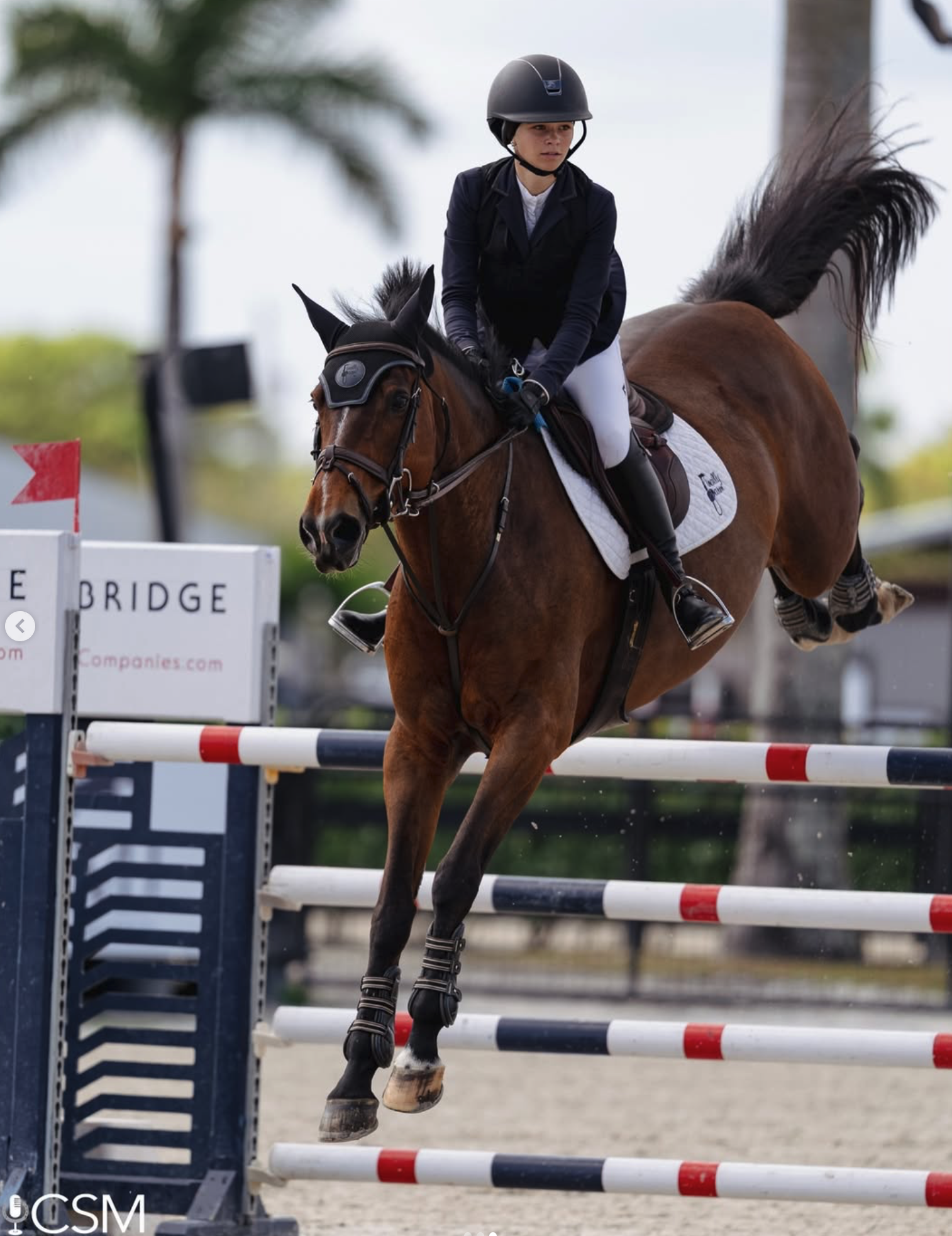 Screenshot 2026-03-18 at 10.35.02 AM.png