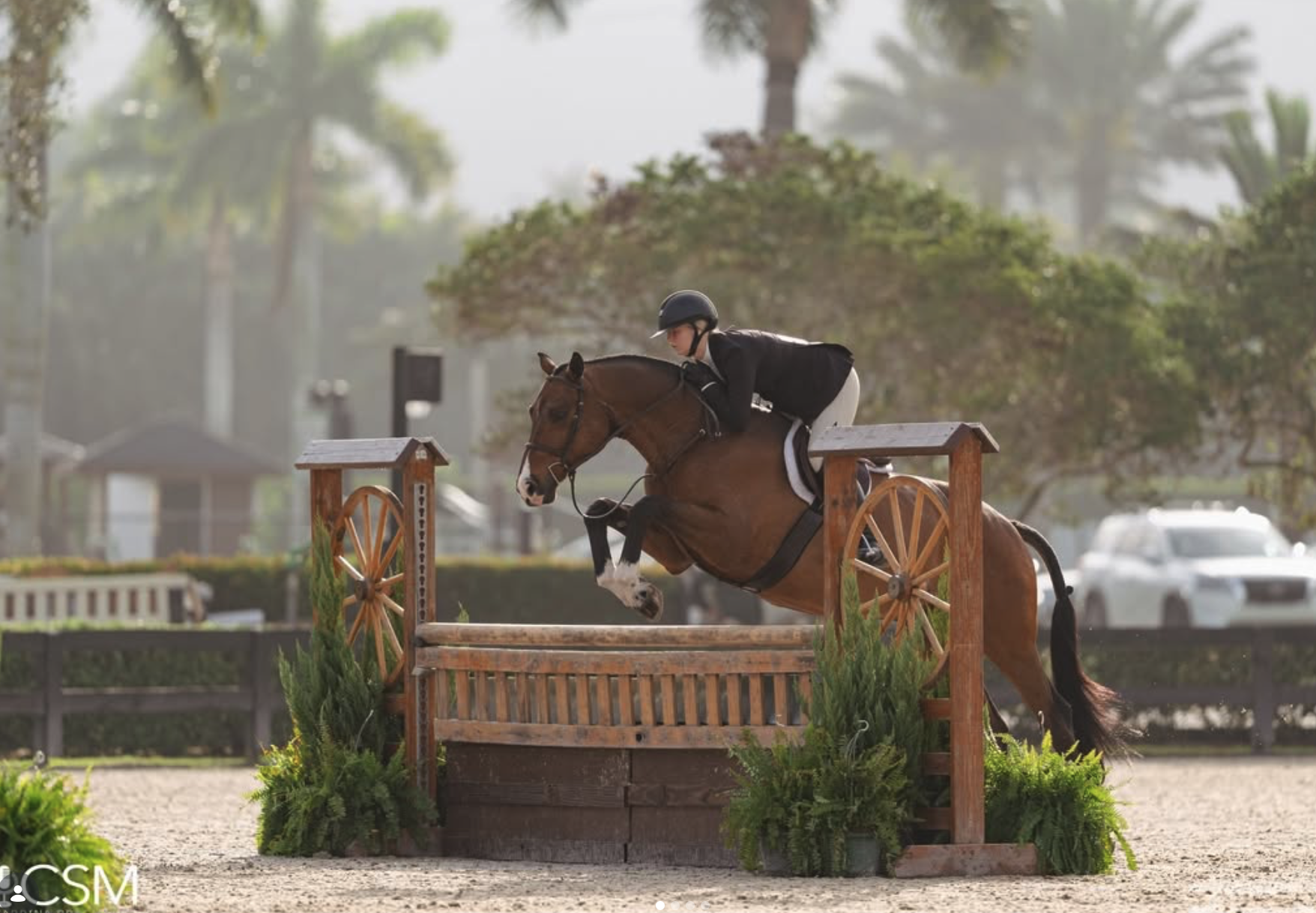 Finally Farm Continues to Shine During WEF 7-10